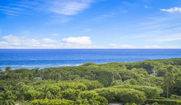 Ocean View