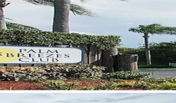 Palm Breezes1