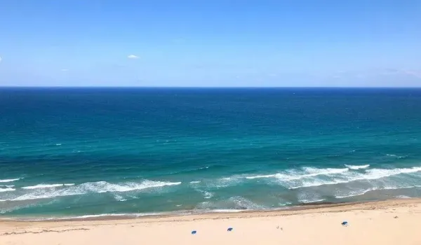 View from Unit