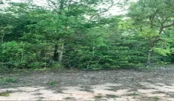 affordable lot Jackson county