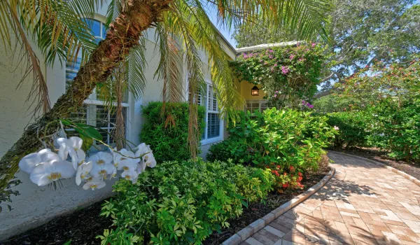 Lush Garden Walkway Landscaping