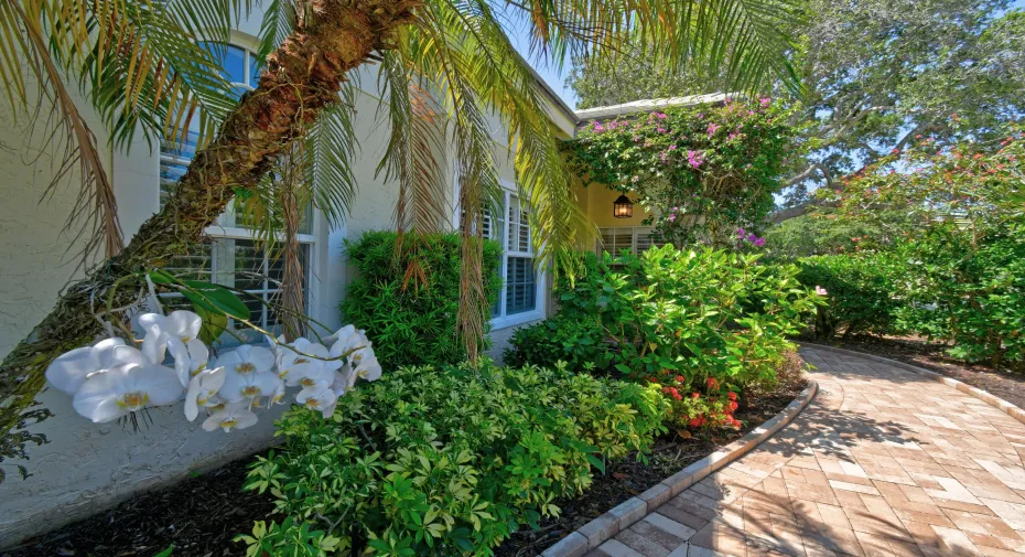 Lush Garden Walkway Landscaping
