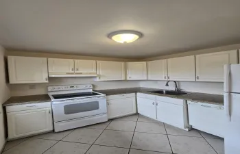 Cypress Chase 11111