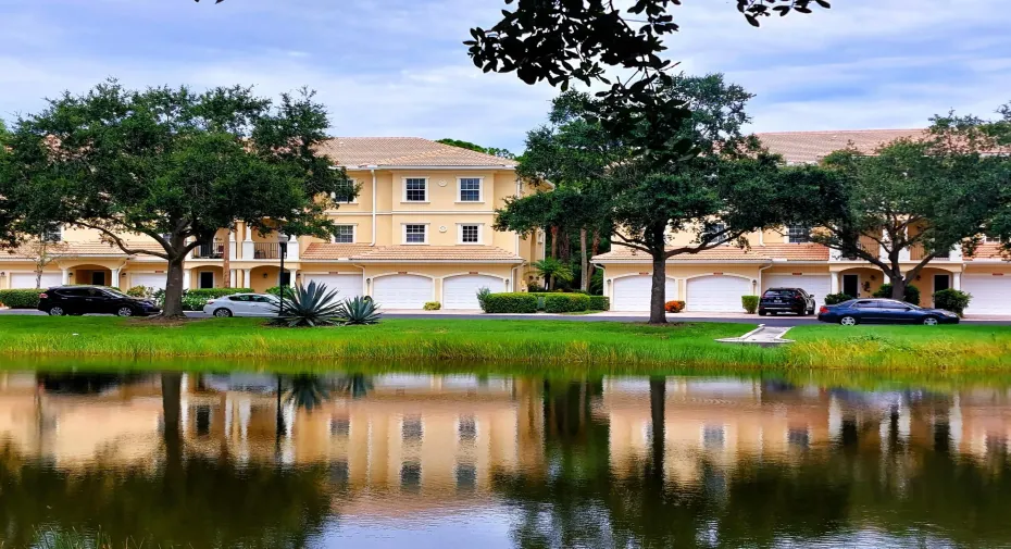 Tranquility Primary