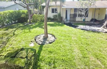 New Wifi Irrigations with all new sod, fence and pool pump. Property to be clear of all liens and violations