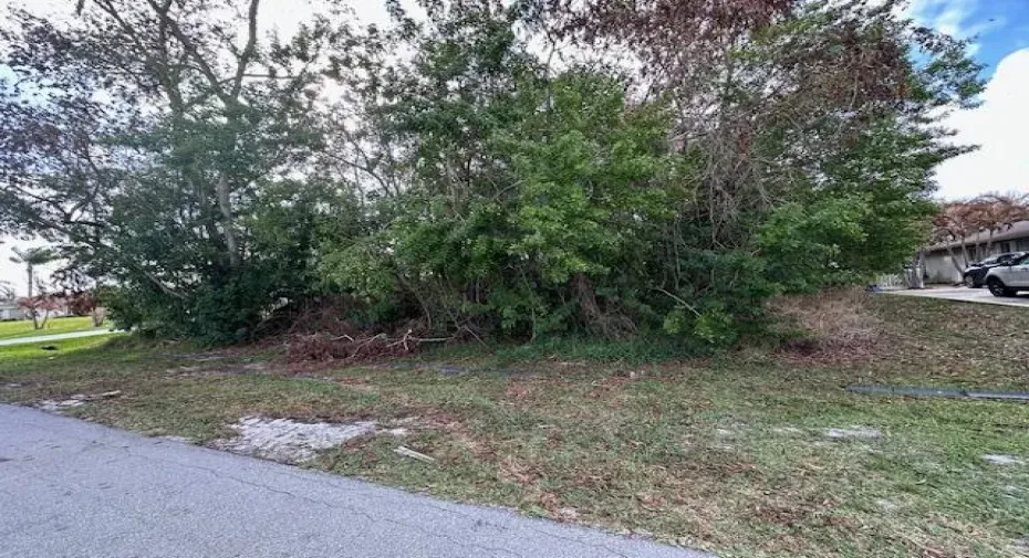 jorgensen lot