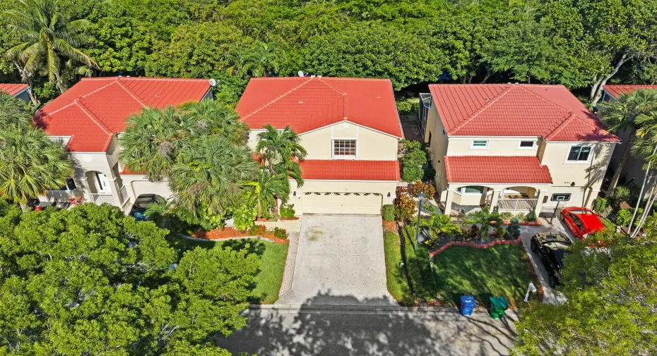 Ariel View