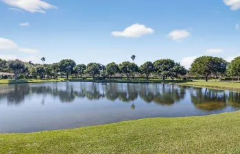 Lake view