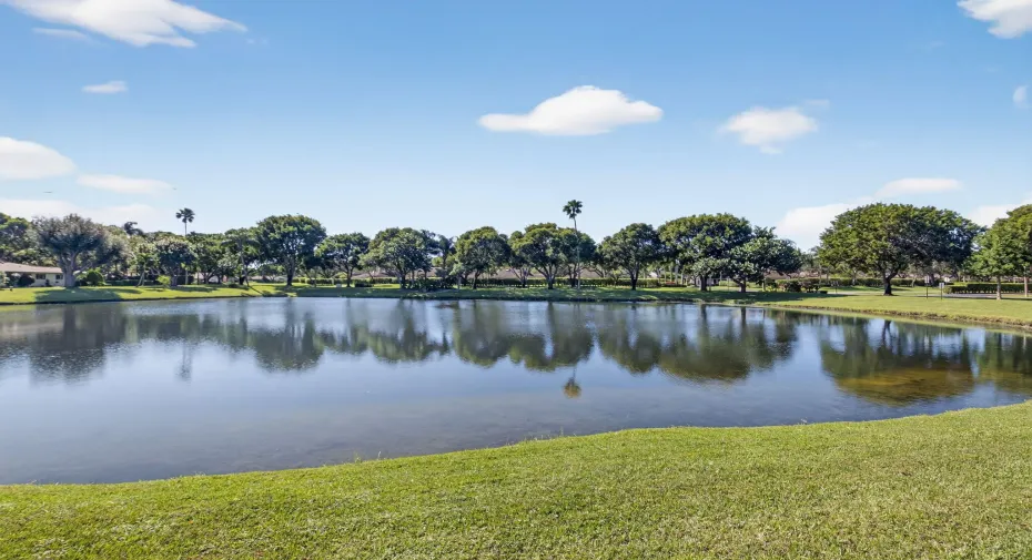 Lake view
