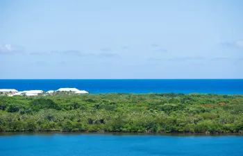 Ocean Views