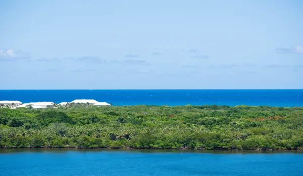 Ocean Views
