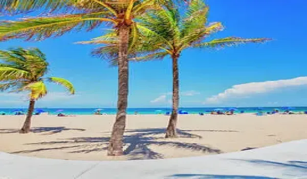 tropical-beach-claudia-uripos