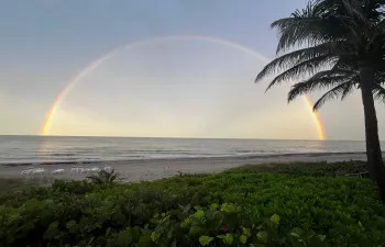 Ocean