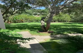 Oaks view photo