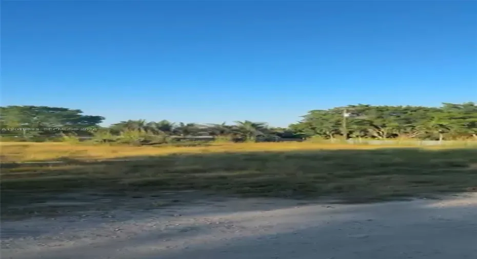 LOT VIEW