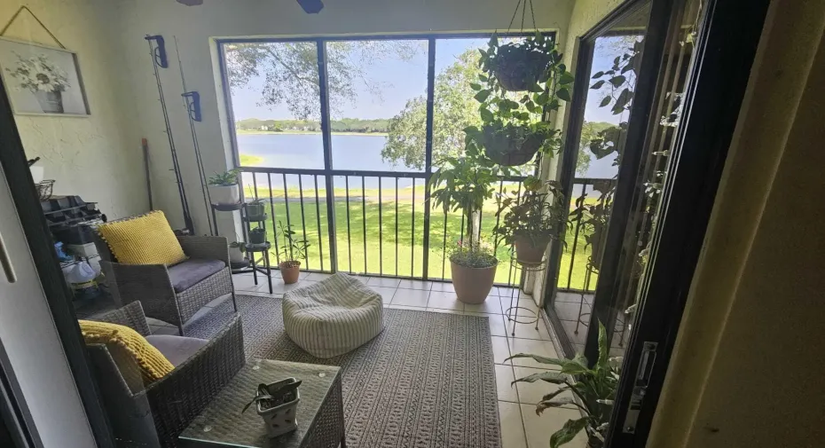 P230 PALMWOOD PATIO 6