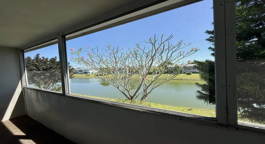 Terrace View