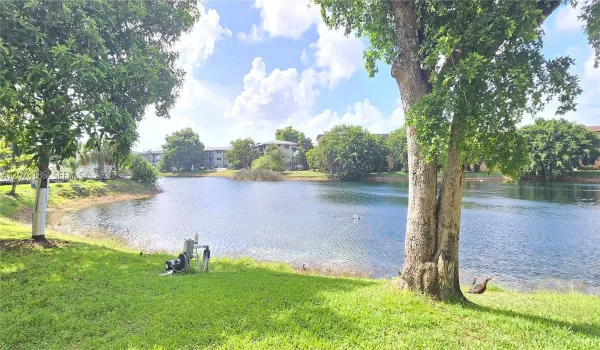 Lake view