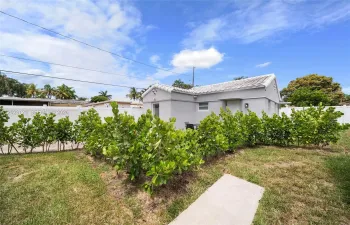 Residential Lease For Rent