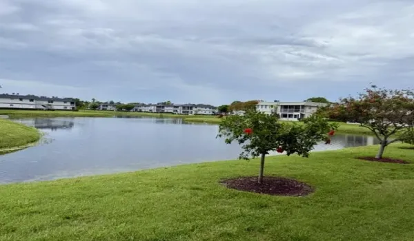 View from your new home!