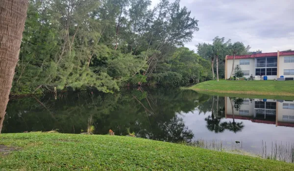 View from Balcony