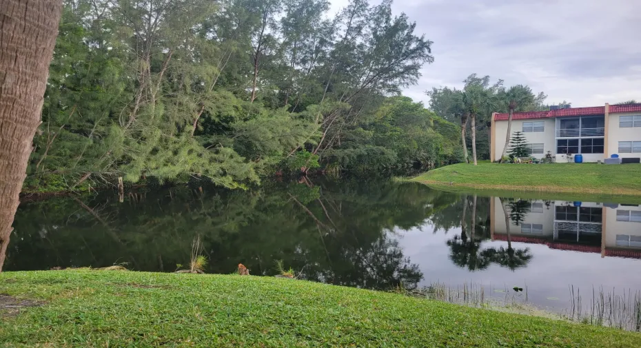 View from Balcony