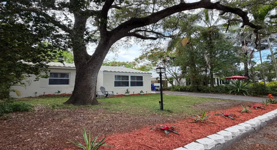 Front Yard