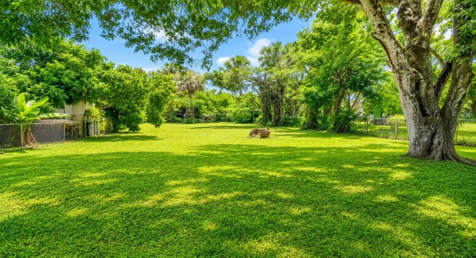 Primary Photo Landscape