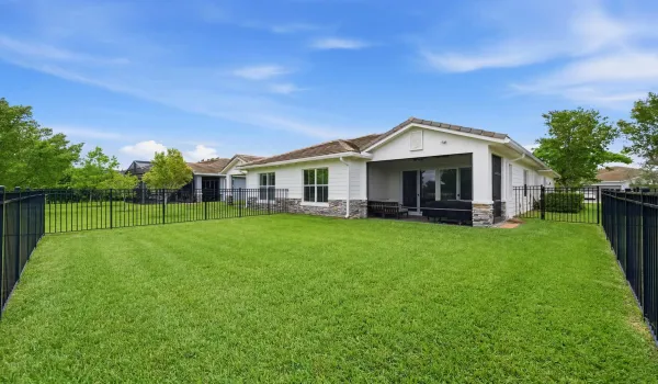 Fenced yard