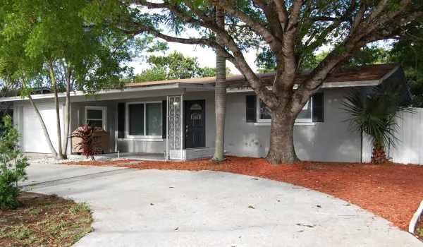 Front View