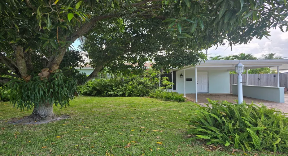 image4