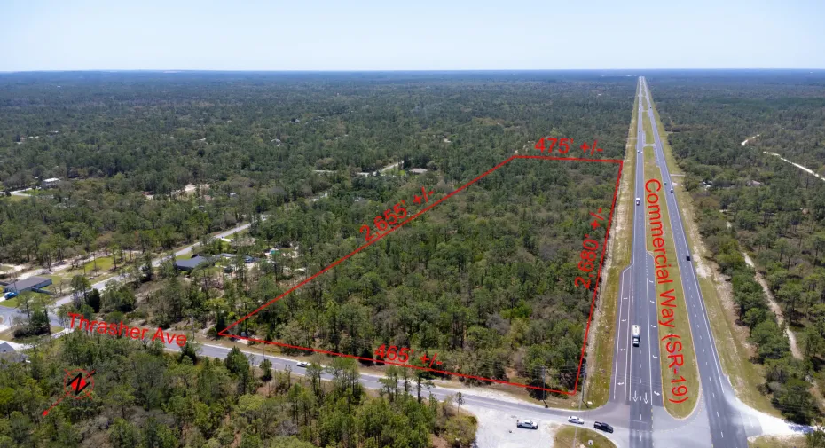 31 Acres