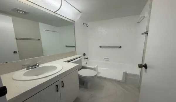 Accessible Bathtub