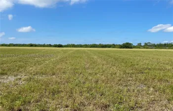 Cleared land