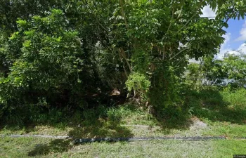 streetview (1)