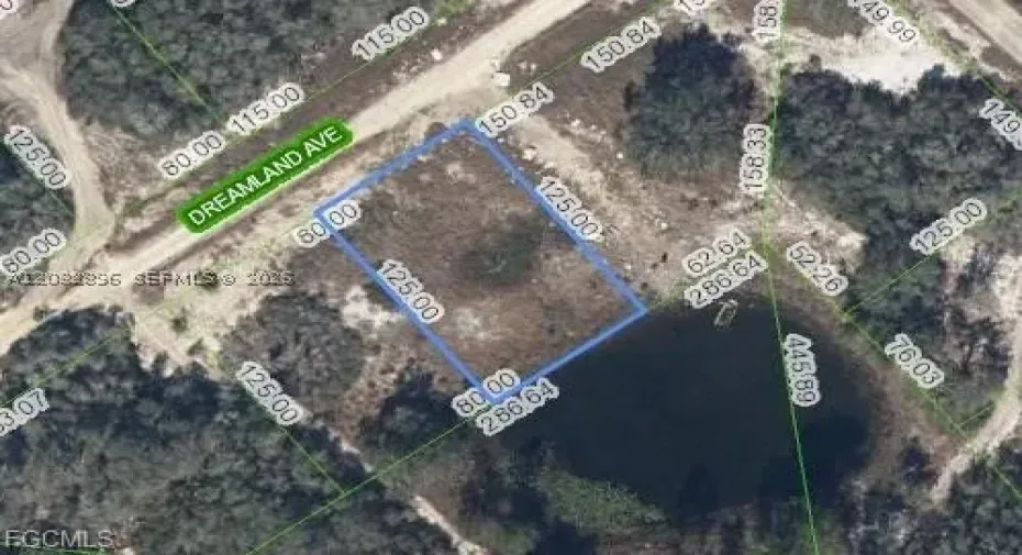 517 Dreamland AVE, Lake Placid, FL 33852