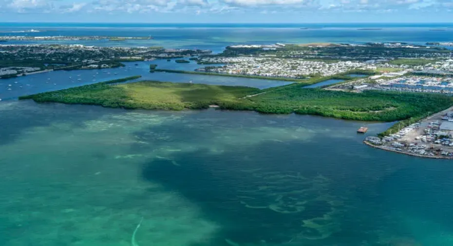 Cow Key Aerial_DSC01380