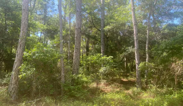 IMG_3339