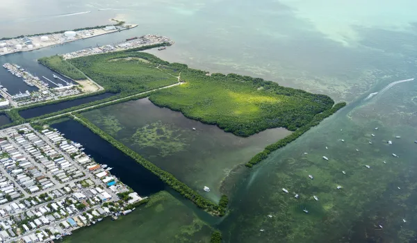 Cow Key Aerial_DSC01550