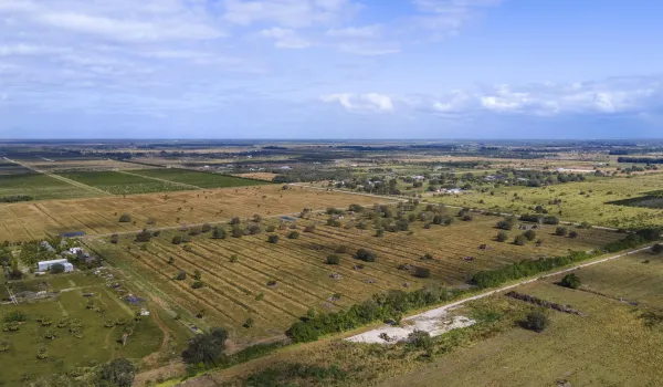 dji_0004