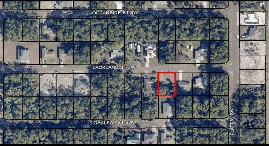 Palm Bay 426