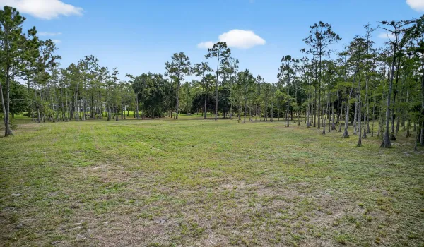 53-web-or-mls-DJI_0430