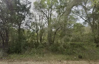 305_MILTON