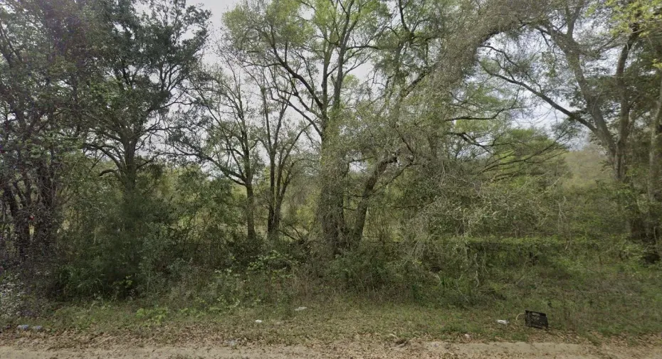 305_MILTON