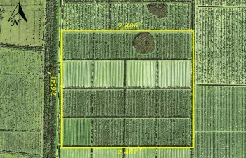 Aerial w markup