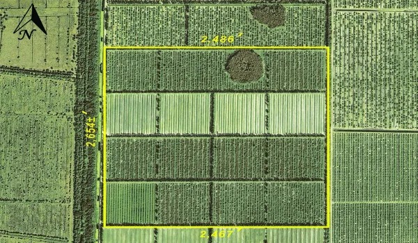 Aerial w markup