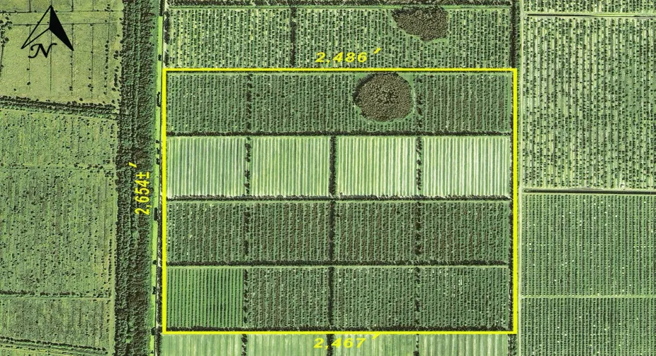 Aerial w markup