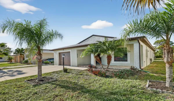 3-web-or-mls-3A5A0354