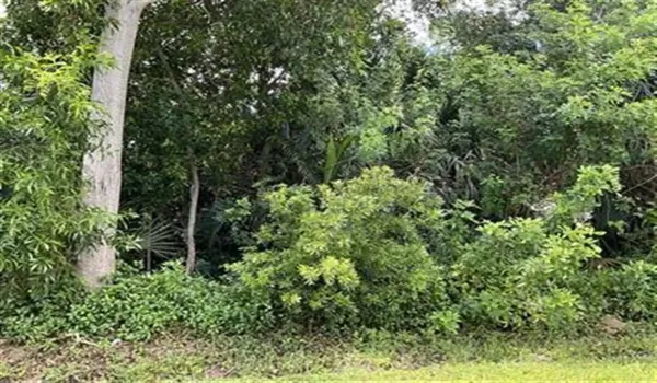 1858 SE North BUTONWOOD