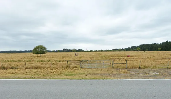 P1030406